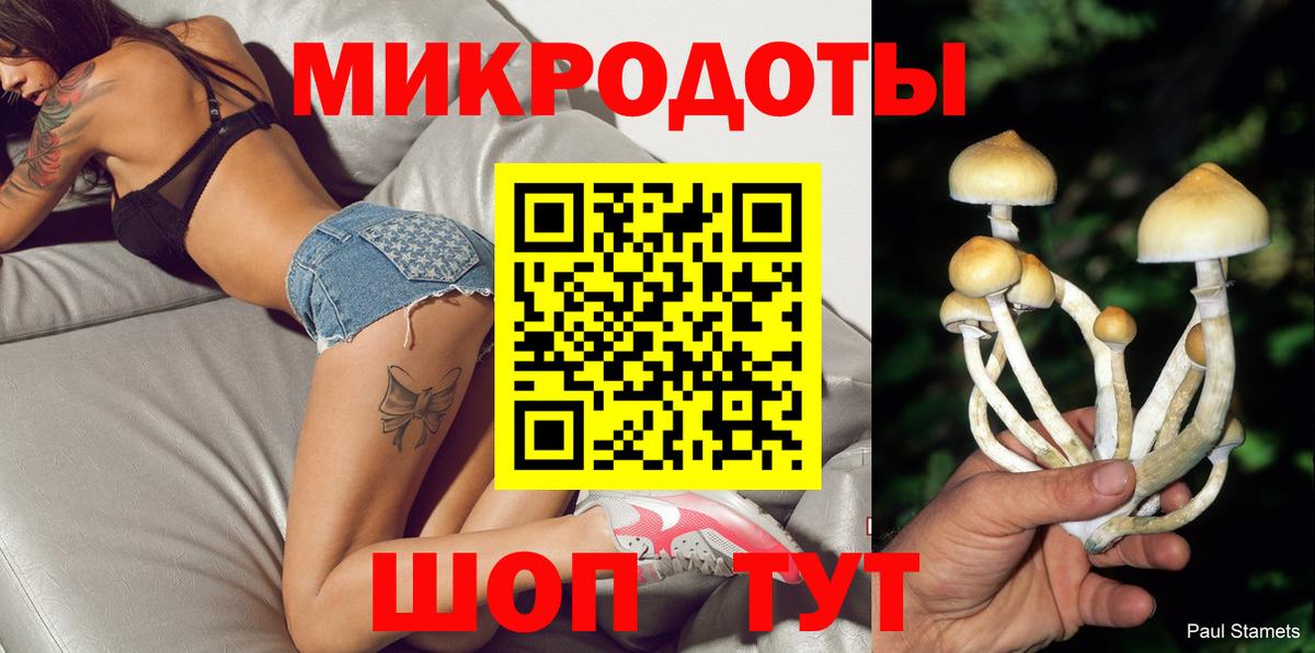 Псилоцибиновые грибы мицелий Подольск