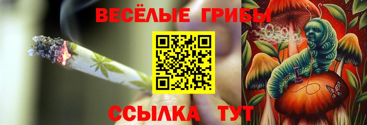 Подольск  Псилоцибиновые грибы MAGIC MUSHROOMS  Галлюциногенные грибы Psilocybe  Вход с VPN 